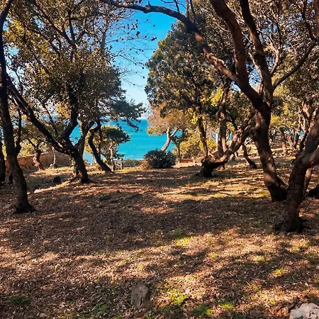 Roc - Private With 2 Beaches And Park